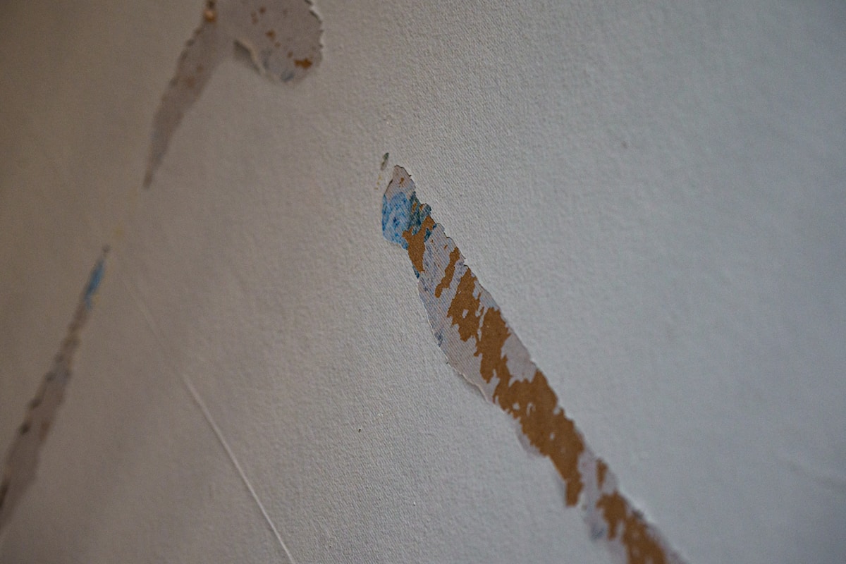 Basement Water Removal service in Warwick, RI